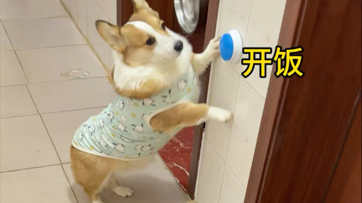 Even with short legs, you can reach it.