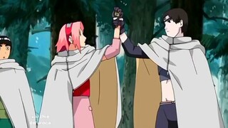 NARUTO SHIPPUDEN PART 252