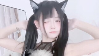 Kitten