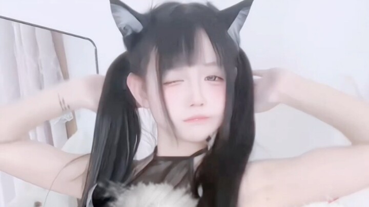 Anak kucing