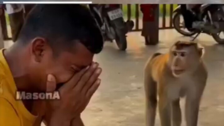 emotional video