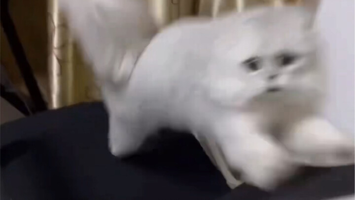 Mút mút mút～