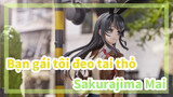 [Bạn gái tôi đeo tai thỏ] Sakurajima Mai, Đập Hộp