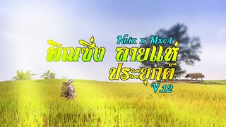 #หมอลำ | พิณซิ่งลายแห่ประยุกต์ v.12 - NEIX feat. MXC4 [Official Audio]