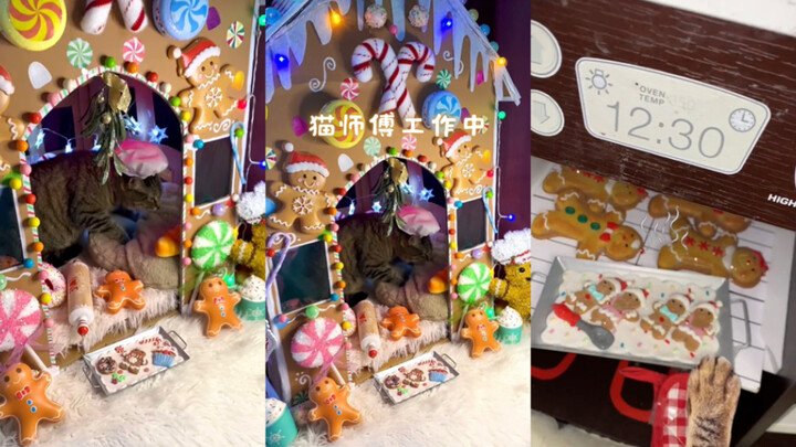 ร้านเล็กๆ ของอาจารย์แมวเปิดให้บริการแล้ว 🍞