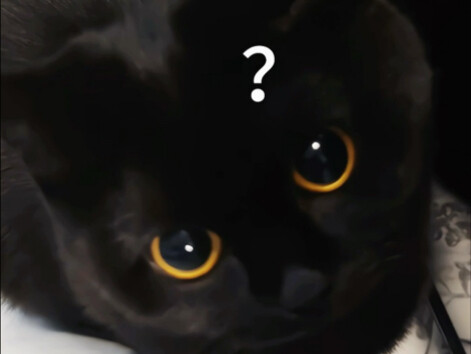 Mẹ xấu xa! Ép con mèo kêu rên ư ử!