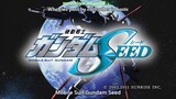 Mobile Suit Gundam: SEED Episode 11