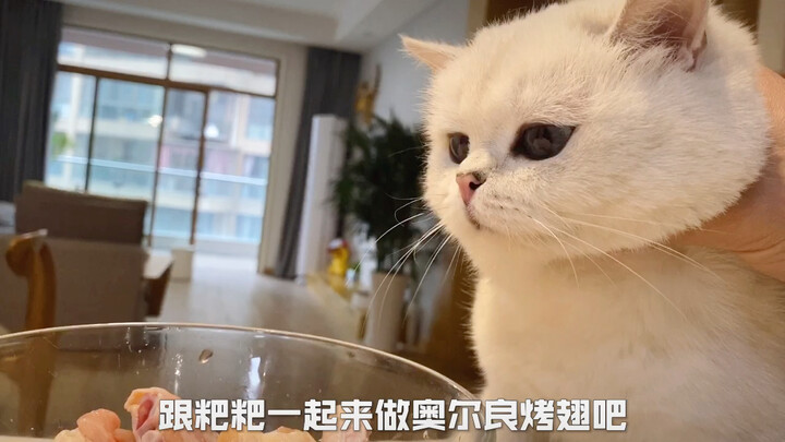 晚晚这个小馋猫，看到肉肉就流口水