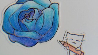 💙💙💙