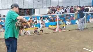 sayang panalo na natalo pa naisahan lang