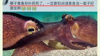 Oh no, now I've discovered true friendship!