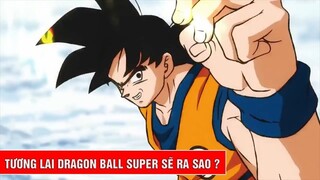 Tương lai về Dragon Ball Super liệu có còn tiếp hay không ?