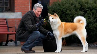 Hachi A Dog's Tale