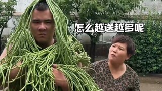 Đậu đũa ăn không hết