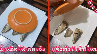 แฟนเหลือกับข้าวให้เยอะจัง แล้วตัวมันไปไหนเนี้ย !! ( รวมฮาพากย์ไทย )