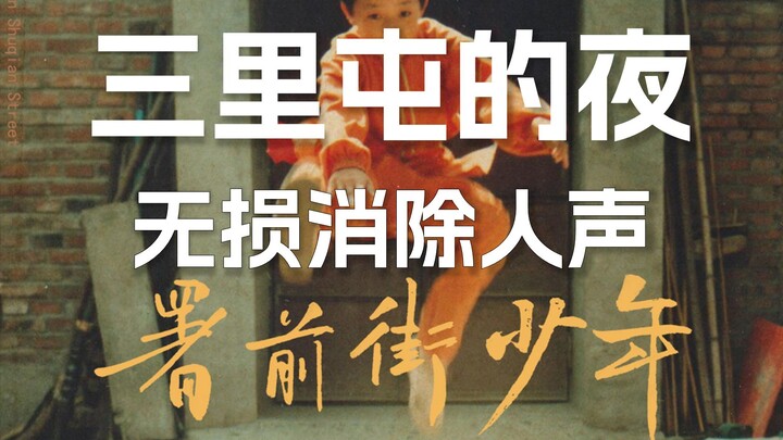 Zhao Lei’s “The Boy on Shuqian Street” with Vocals Removed [Lossless Audio]