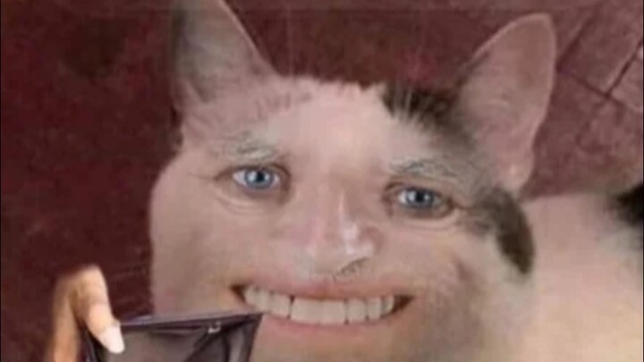 (Archiv) Kirim ke teman terus diam aja [Kumpulan Video Lucu/17]