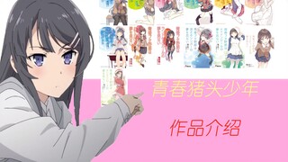 青春猪头少年系列简介