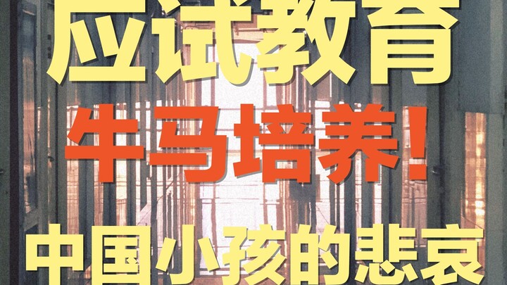 The Terrifying Chinese Exam-Oriented Education: A Precision Training Camp for Cattle and Horses—How 