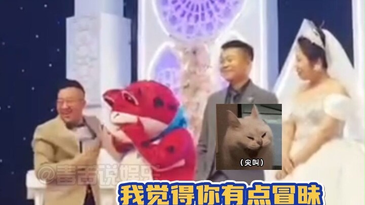 I think feeding the frog the microphone is pretty rude.