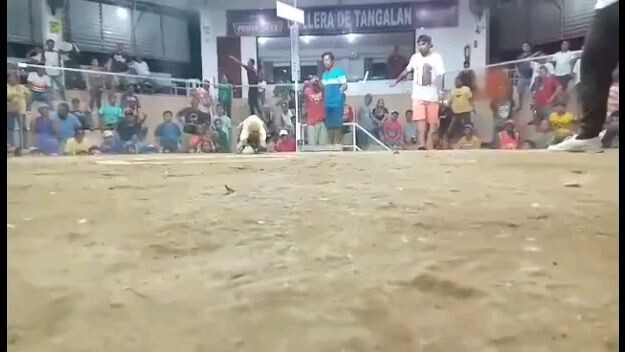 sta lucia warriors