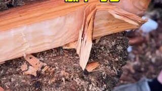 别眨眼，我们来做个勺子