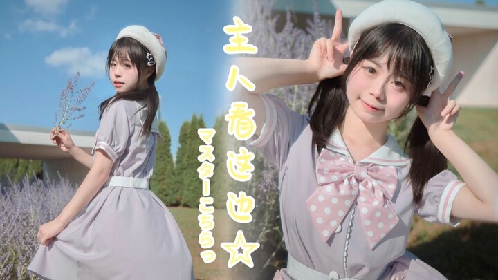 Master, look this way! ❤️ Such a cute dance—no one on Bilibili has covered it yet?? 【Ryoyoyo】Master,