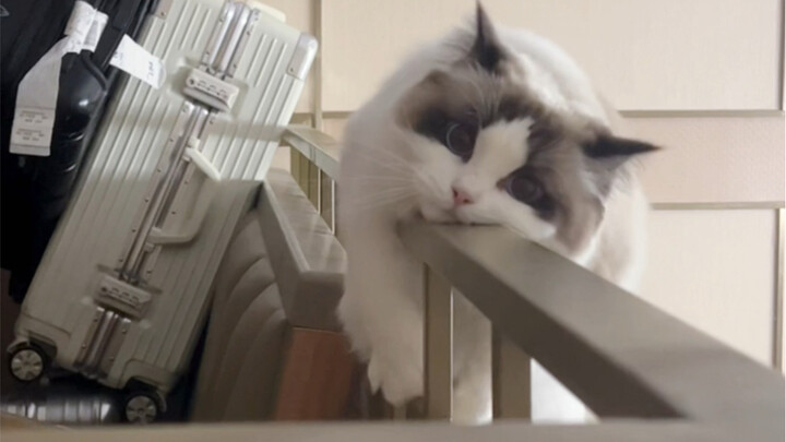 Điều tôi lo lắng nhất cuối cùng cũng xảy ra, đúng là đứa con gái bất hiếu, làm tôi sợ đến mức không 