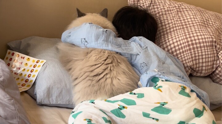 What’s it like growing up with a cat as your feline sibling?