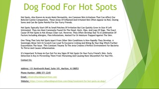 Dog Food For Hot Spots