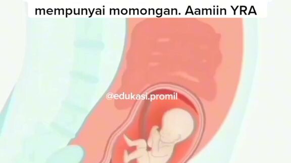 semoga segera di beri momogan amien🤲