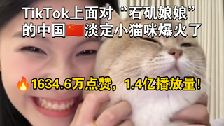 TikTok面对“石矶娘娘”的中国淡定小猫爆火，1.4亿播放量！