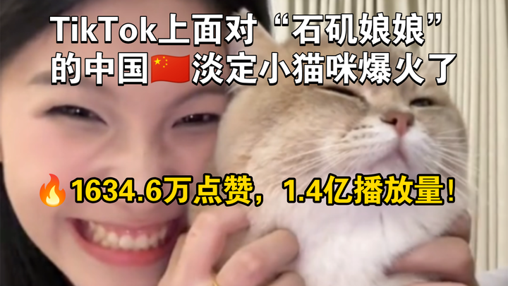 TikTok's calm Chinese kitten facing "Shiji Niangniang" went viral, with 140 million views!