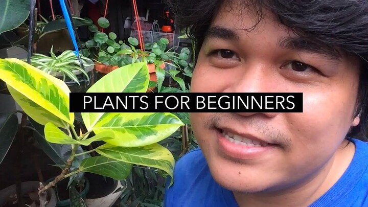 Plants For Beginners in the Philippines