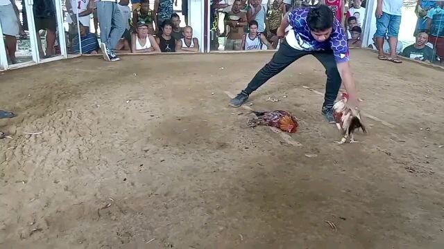 San Joaquin galleria