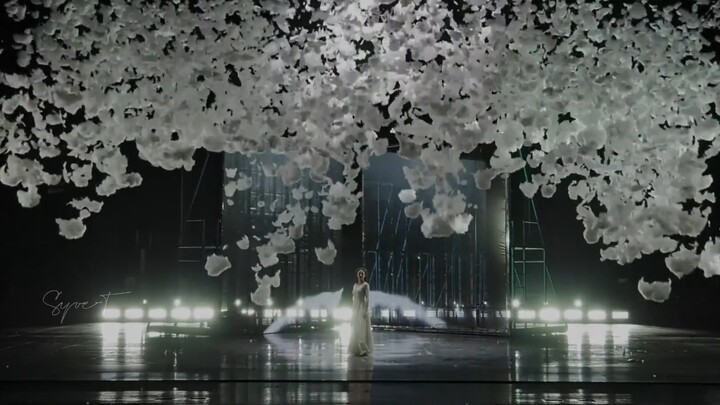 【Tang Shiyi】Thank you for every firework that illuminates us