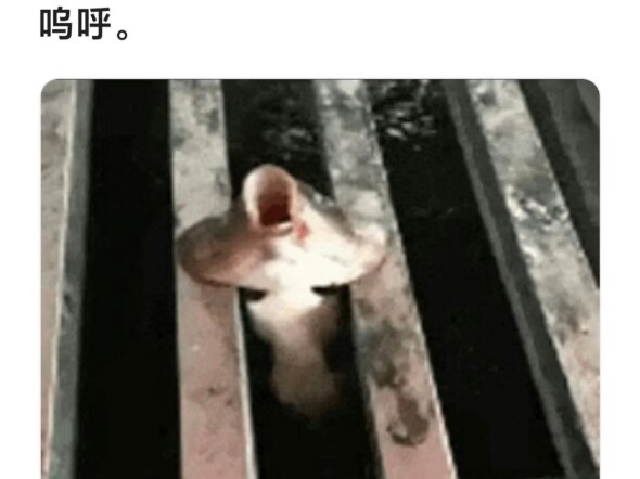 看看各位网友的倒霉瞬间