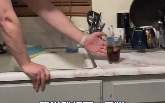 Dad, I want to get a cat...