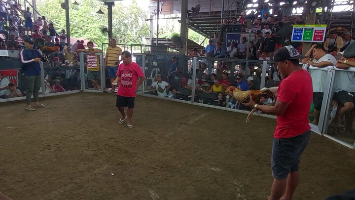 Super Bulik Basta bulik Matic Babalik Fastest kill 13.35 seconds