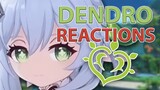 All Dendro Reactions + Damage Scaling