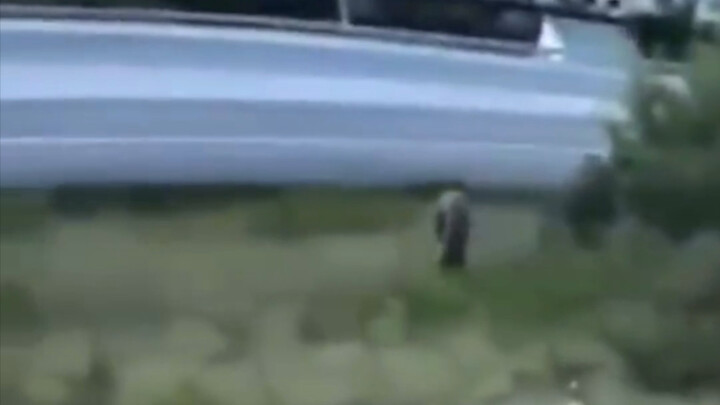 คนนั่งอยู่ในบ้าน ทารกตกจากฟ้า