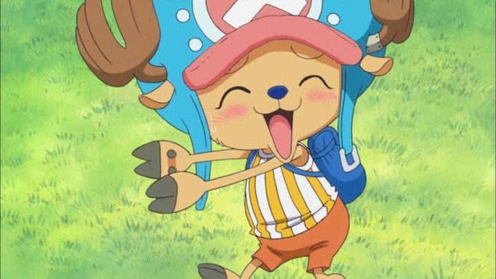 Chopper's privileges =3