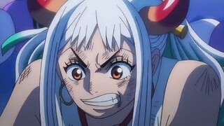Đây chính là tình yêu dành cho Luffy~