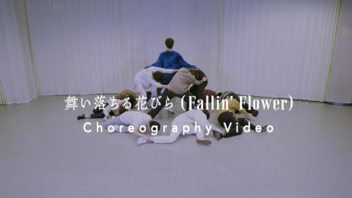 【高清4K】SEVENTEEN - Fallin' Flower练习室