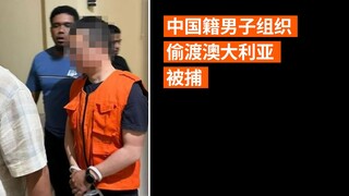 中国籍男子组织偷渡澳大利亚被捕