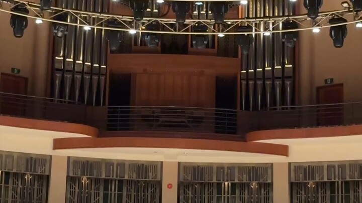 偏偏喜欢你➕ 🎼