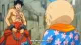 Cuộc gặp gỡ giữa Luffy và lão đại #anime