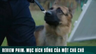 REVIEW PHIM: “ MỤC ĐÍCH SỐNG CỦA MỘT CHÚ CHÓ “ ( Phần 6 ) #reviewphimhaynhat
