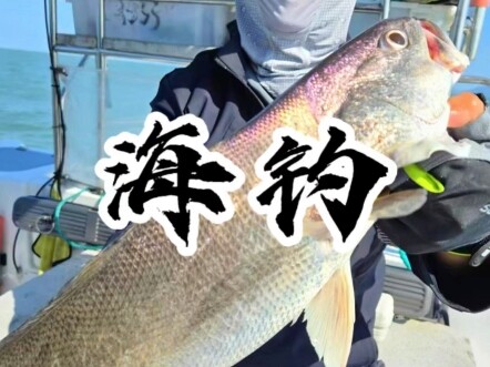 Freedom of Sea Fish