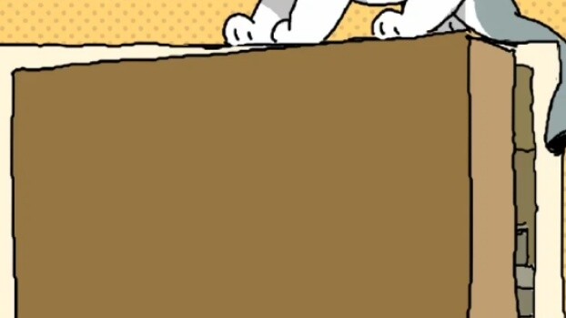 Shark Cat: Tentang apa semua keributan ini